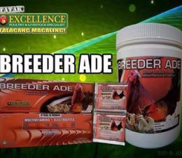 BREEDER ADE