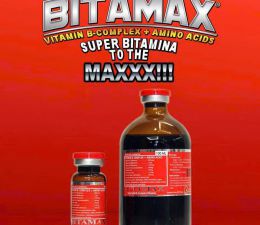 BITAMAX 100ML