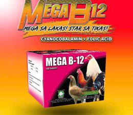 MEGA B-12