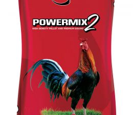 Powermix 2