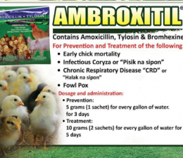 AMBROXITIL (HỘP 48 GÓI)