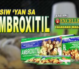 AMBROXITIL 1kg