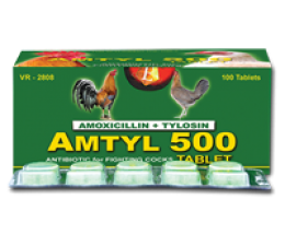 AMTYL 500 (100 TABLET)