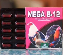 Mega B 12