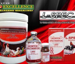 L-Spec  100ml