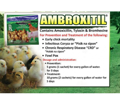 AMBROXITIL (HỘP 48 GÓI)