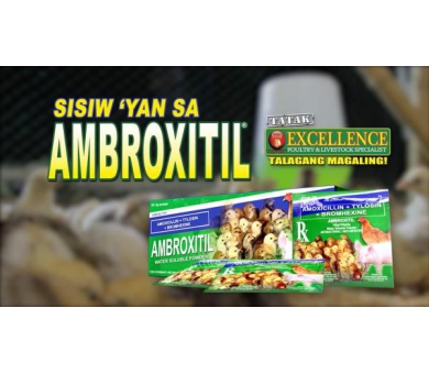 AMBROXITIL 1kg