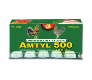 AMTYL 500 (100 TABLET)