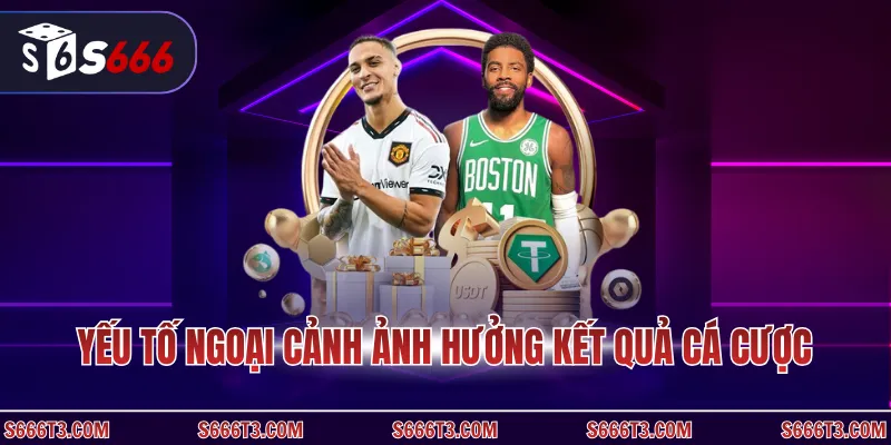 Yếu tố ngoại cảnh ảnh hưởng kết quả cá cược